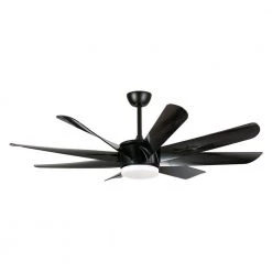 Thank 60 in. Indoor/Outdoor Integrated LED Black Ceiling Fan with Light and Remote Control by Parrot Uncle