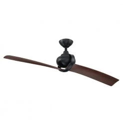 Shellcove 54 in. Indoor/Outdoor Modern Black 2-Blade Ceiling Fan with Remote Included by Parrot Uncle